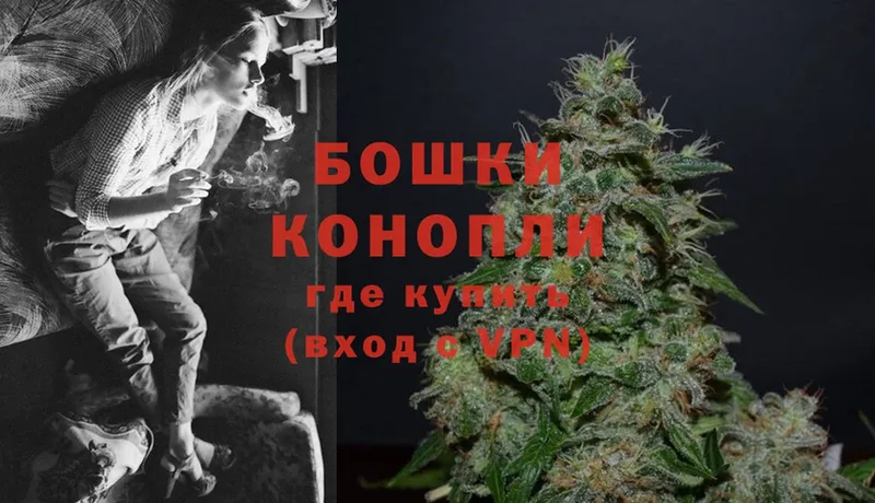 купить   Ардатов  Бошки Шишки White Widow 